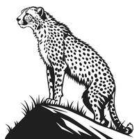 Illustration Of A Cheetah Standing vector