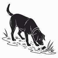 Black Labrador Sniffing Ground Illustration vector