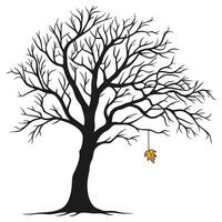 Bare Tree With Single Autumn Leaf vector