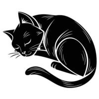 Black Cat Sleeping Curled Illustration vector