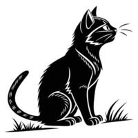 Black Cat Sitting Watching Something vector