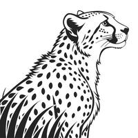Elegant Cheetah Standing In Tall Grass vector