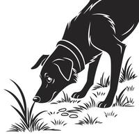 Dog Sniffing In Black And White vector