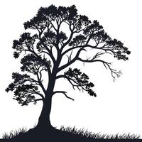 Lonely Silhouette Tree On Ground vector