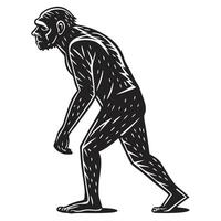 Hominid Standing Side View Woodcut vector