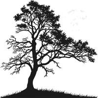 Silhouette Of A Tree In The Field vector