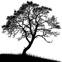 Silhouette Of A Tree In Grass vector