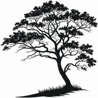 Silhouette Of A Tree On White vector