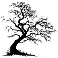 Silhouette Of Old Gnarled Tree vector