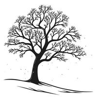 Silhouette Of Bare Tree In Winter vector
