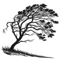 Silhouette Of Windblown Tree With Grass vector