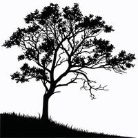 Silhouette Of Solitary Tree With Grass vector
