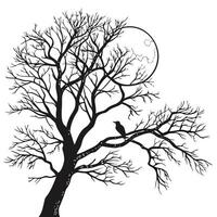 Silhouette Tree Bird Moon Illustration vector
