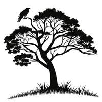 Silhouette Of Tree And Bird vector