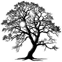 Silhouette Of Tree With Sunburst vector
