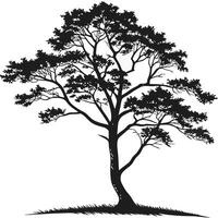 Silhouette Of Tree With Grass vector