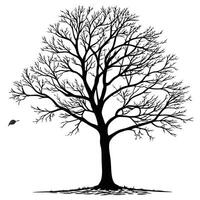 Silhouette Of Tree With Falling Leaf vector