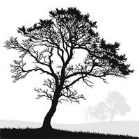 Tree On Hillside vector