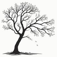 Silhouette Tree With Leaves And Wind vector