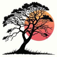 Silhouette Tree Against A Setting Sun vector