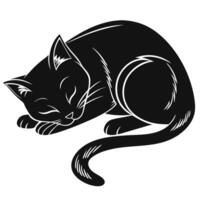 Sleeping Black Cat Illustration Isolated vector