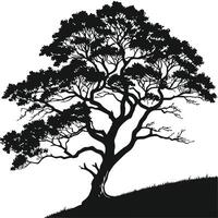 Tree Silhouette On A Grassy Hill vector