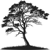 Solitary Tree Silhouette On Grass Patch vector