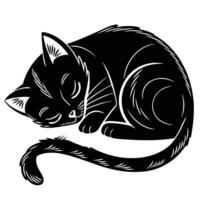Sleeping Cat Black And White Illustration vector