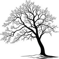 Tree Silhouette With Bare Branches Design vector