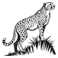 Illustration Of Cheetah On Grass vector