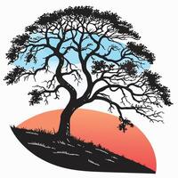 Solitary Tree Silhouette Against Sky vector