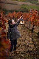 In the midst of the vibrant red vines, a boy in a coat holds a lantern, its light casting a warm glow. photo