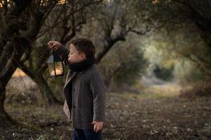 A boy in a coat blows gently on the lantern in his hands at sunset, surrounded by a tunnel of olive trees glowing in the fading light. photo