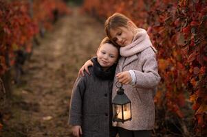 Two children hold each other tightly, standing amidst red vineyards, their faces illuminated by the soft, flickering lantern light photo