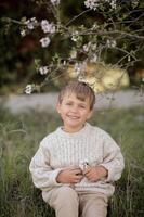 Sunlight filters through the almond blossoms as a boy in a white sweater sits beneath the tree, happily examining the almonds in his hands. photo