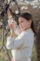 A peaceful scene of a young girl surrounded by the white flowers of a blooming almond tree photo