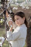 A little girl gently holds a branch of an almond tree, surrounded by delicate white blossoms in full bloom. photo