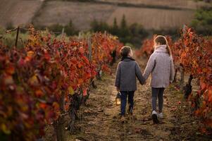 Two children wander between the vineyard rows, their lantern casting a warm glow in the soft evening air. photo