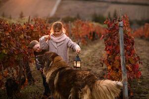 As the children stand hugging with their lantern, a curious dog approaches them, its eyes reflecting the warm glow. photo