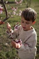 The boy, surrounded by soft pink almond blossoms, smiles as he touches the flowers, his curiosity and joy reflected in his actions photo
