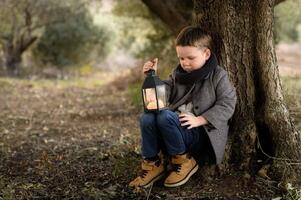 Under the shade of a tree, a boy sits quietly, his glowing lantern casting a warm light on the surrounding peaceful scenery. photo