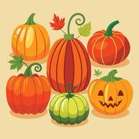Bountiful Display of Vibrant Pumpkins for Autumnal Festivities vector