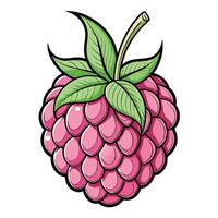 Coloring Page Isolated Raspberry Illustration for Kids vector