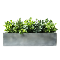 Sleek rectangular concrete planter housing lush greenery in a modern design png