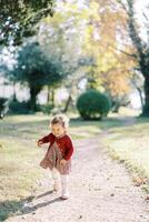 Laughing little girl runs along the path in the autumn park photo