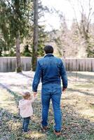 Dad and a little girl are walking along a flowering meadow in a sunny park. Back view photo