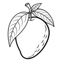 Hand Drawn Mango Illustration Isolated and Vivid vector