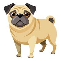 Adorable Pug Dog Isolated on a White Background Digital Illustration vector