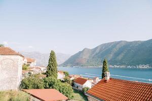 View of the Bay of Kotor over the red roofs of old houses surrounded by trees. Montenegro photo