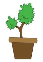 Pot with plant isolated on white background vector
